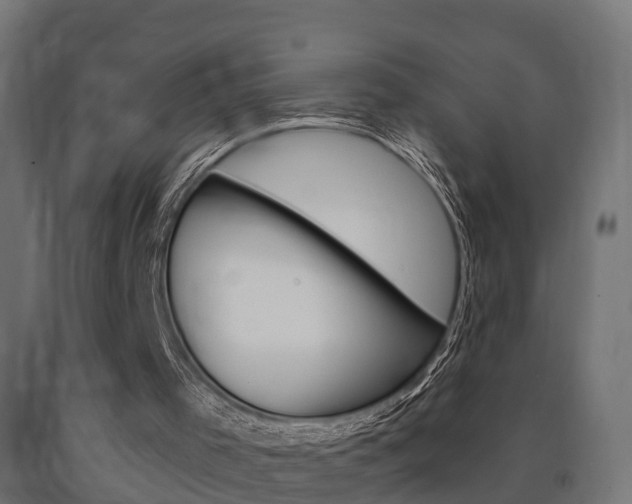 X0000091000001200708021235