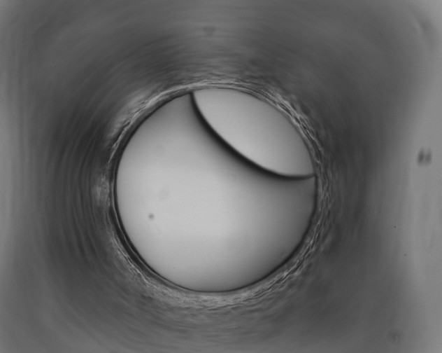X0000091000002200708021235