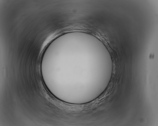 X0000091000004200708021235