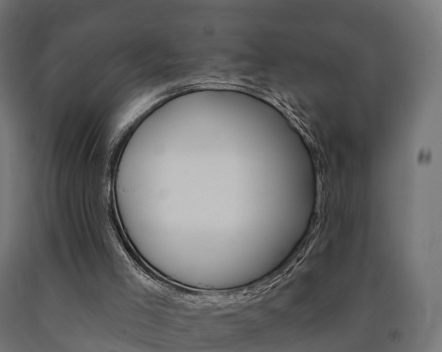 X0000091000005200708021234