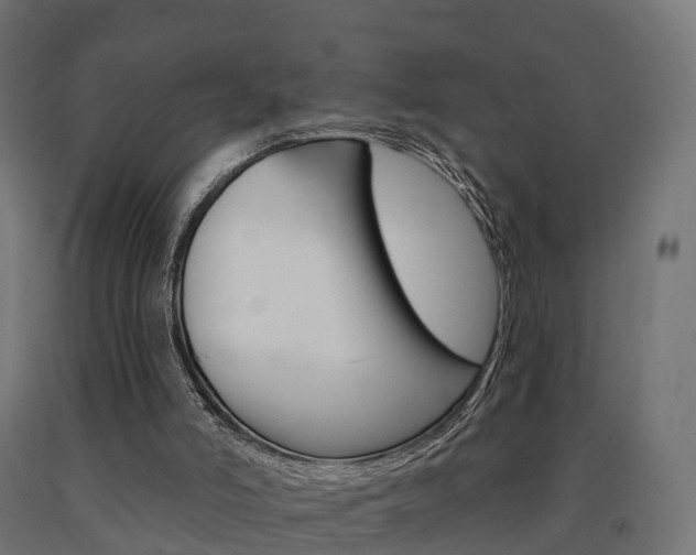 X0000091000006200708021234