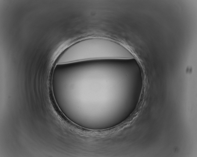 X0000091000007200708021234
