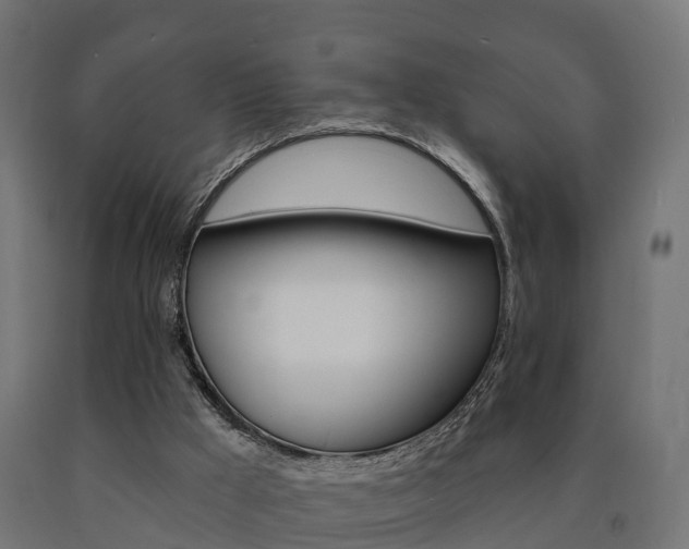X0000091000009200708021234