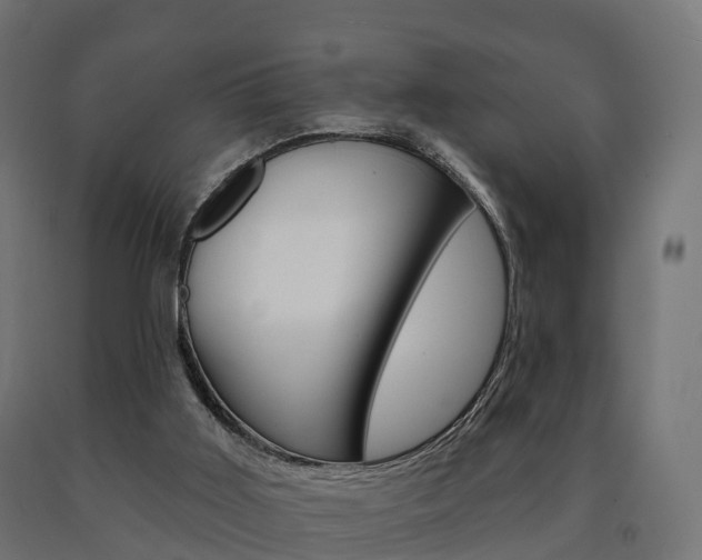 X0000091000011200708021234