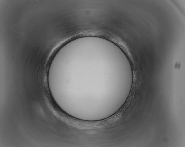 X0000091000012200708021234