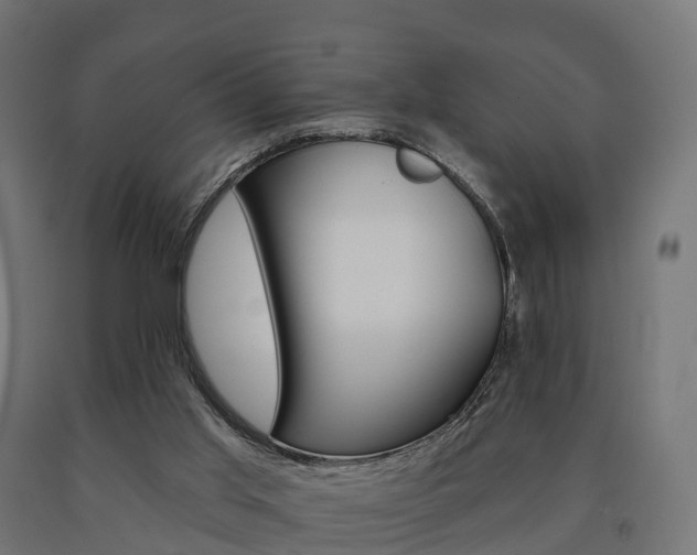 X0000091000013200708021234