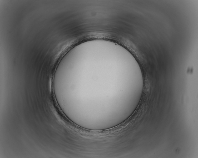 X0000091000014200708021234