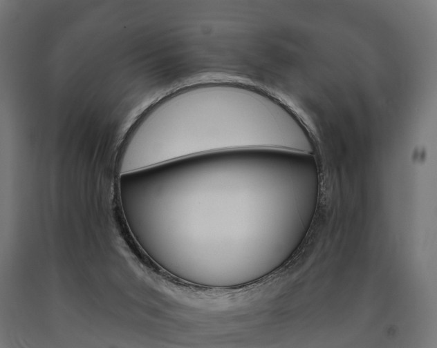 X0000091000015200708021234