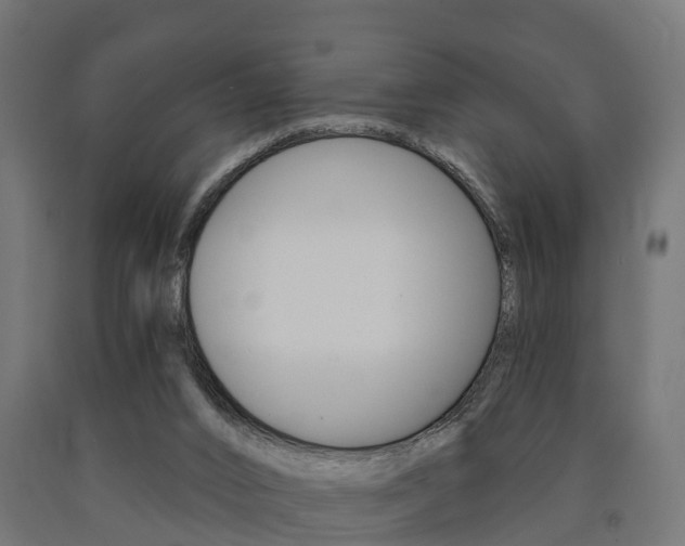 X0000091000016200708021234