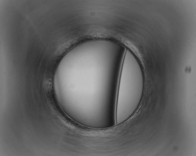 X0000091000017200708021234