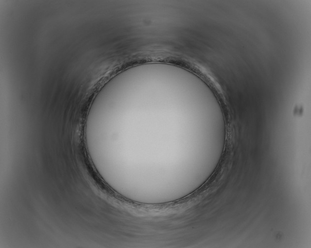 X0000091000018200708021234