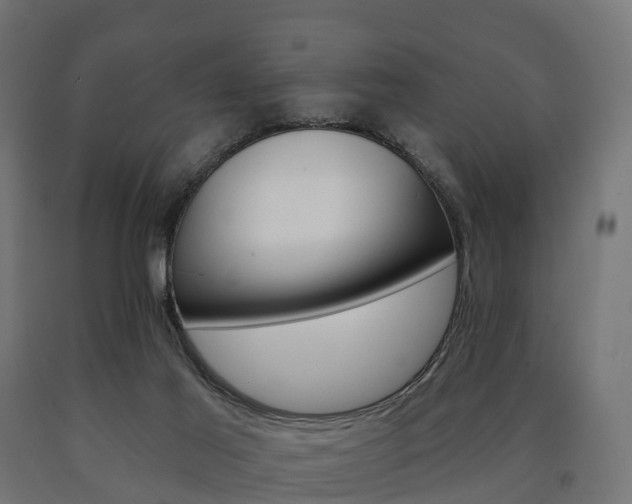 X0000091000021200708021234