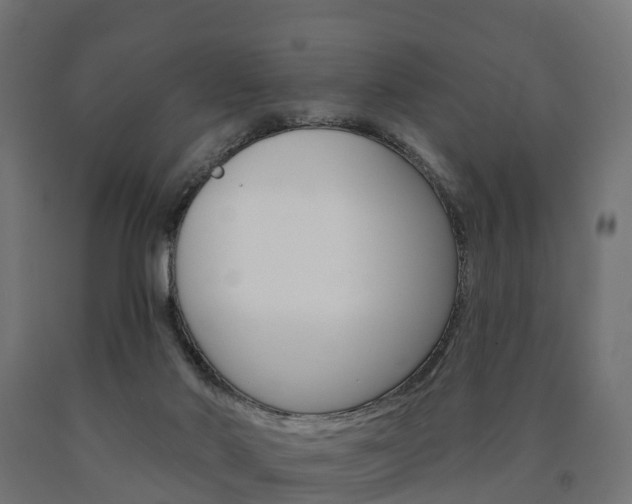 X0000091000022200708021234