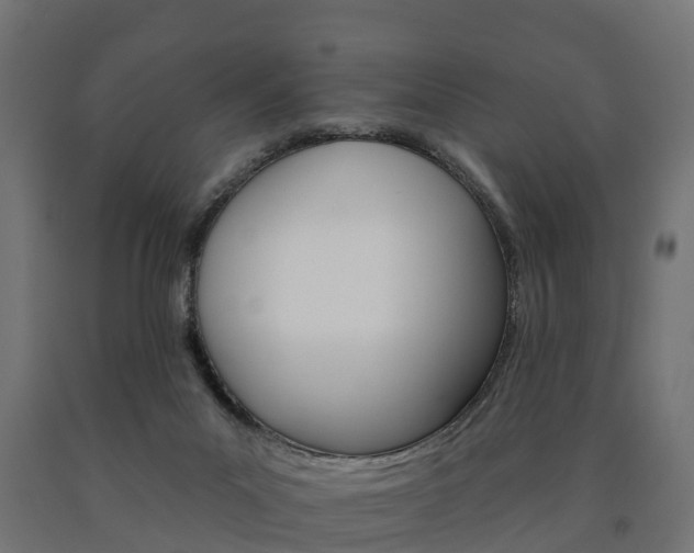 X0000091000023200708021234
