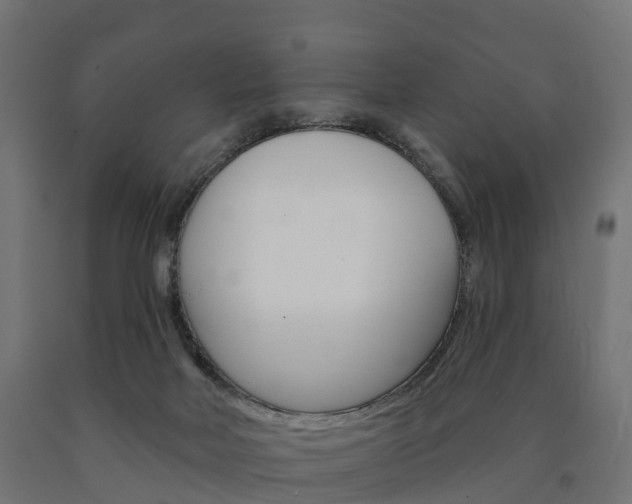 X0000091000026200708021234