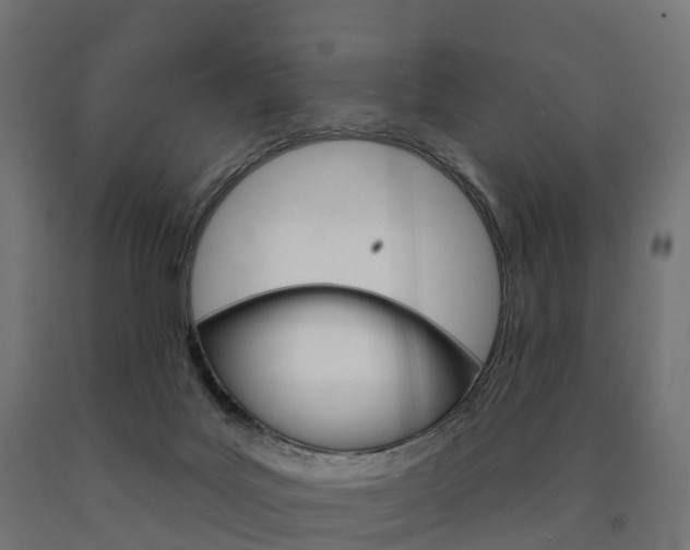X0000091000027200708021234