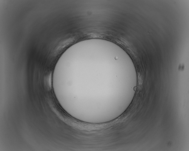 X0000091000028200708021234