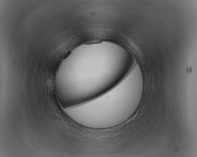 X0000091000029200708021234