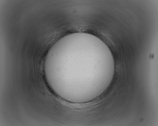 X0000091000030200708021234