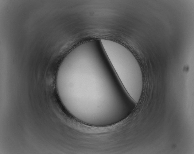 X0000091000031200708021234