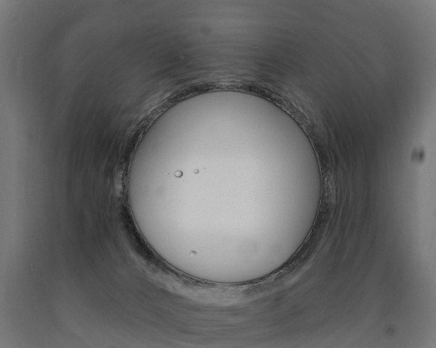 X0000091000032200708021234