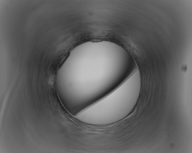 X0000091000033200708021234