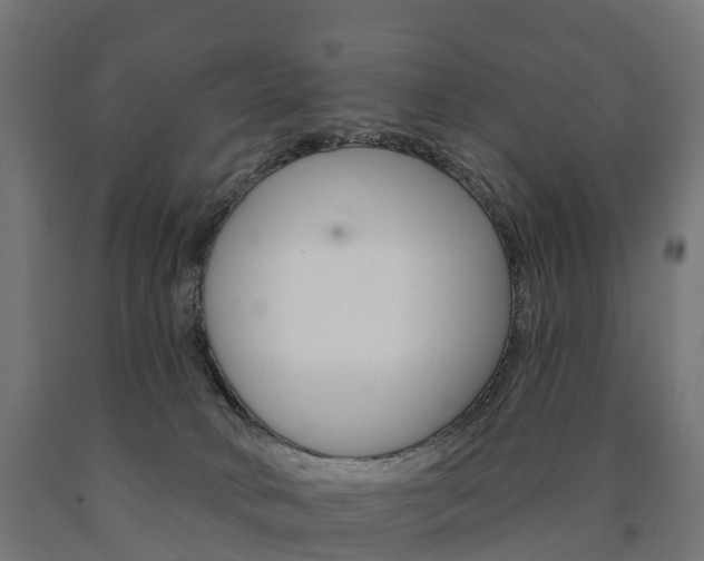 X0000091000034200708021234