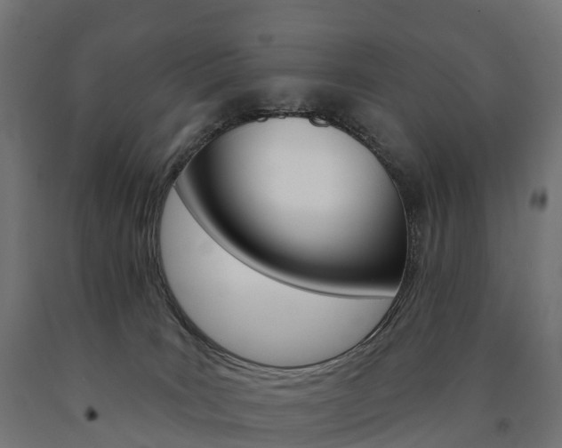 X0000091000035200708021234