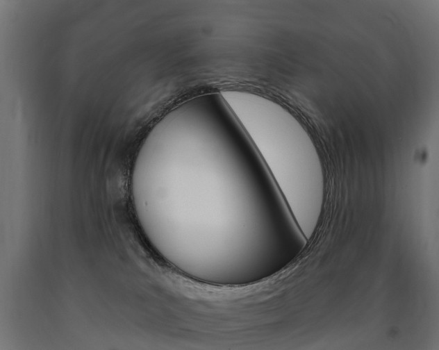X0000091000039200708021234