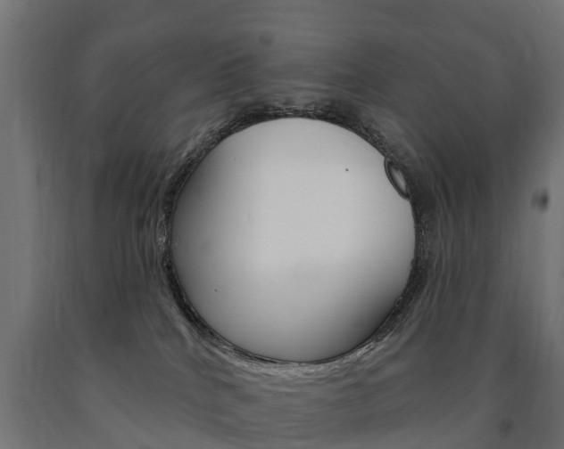 X0000091000040200708021234