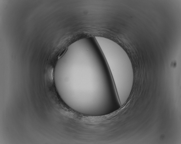 X0000091000041200708021234