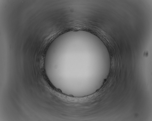 X0000091000043200708021234
