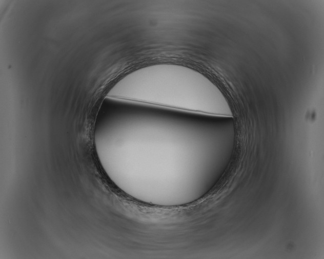 X0000091000044200708021234
