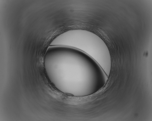 X0000091000045200708021234