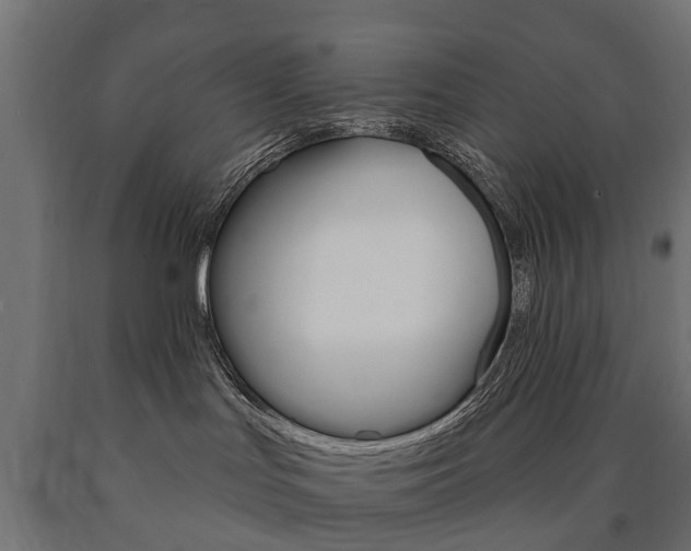 X0000091000047200708021234