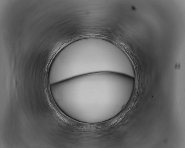 X0000091000049200708021233