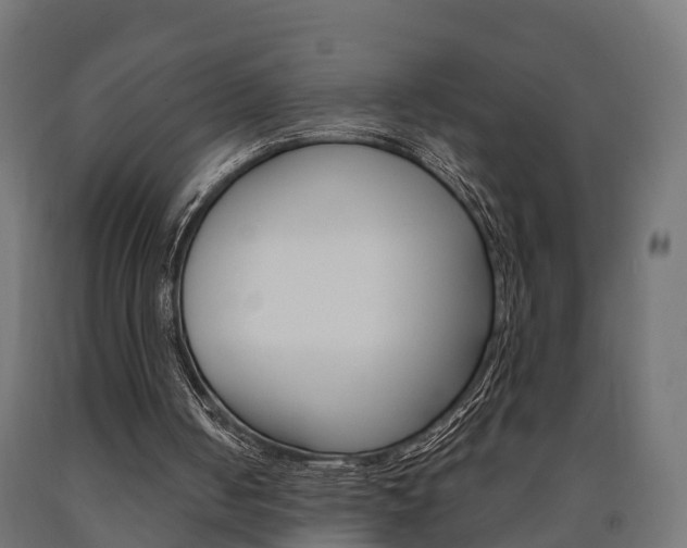 X0000091000050200708021233