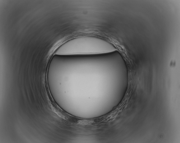 X0000091000051200708021233