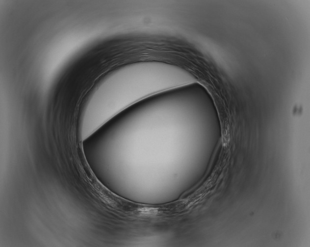 X0000091000052200708021233