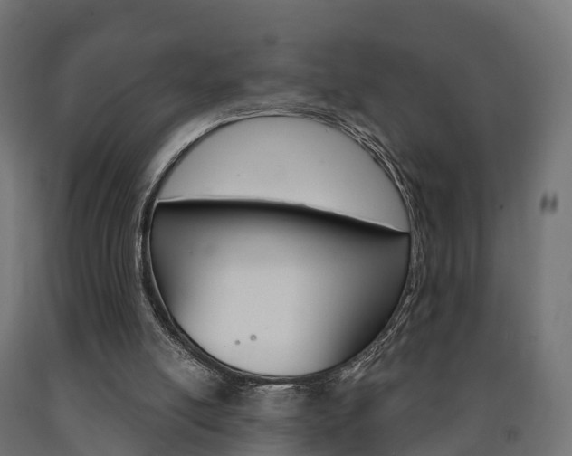 X0000091000054200708021233