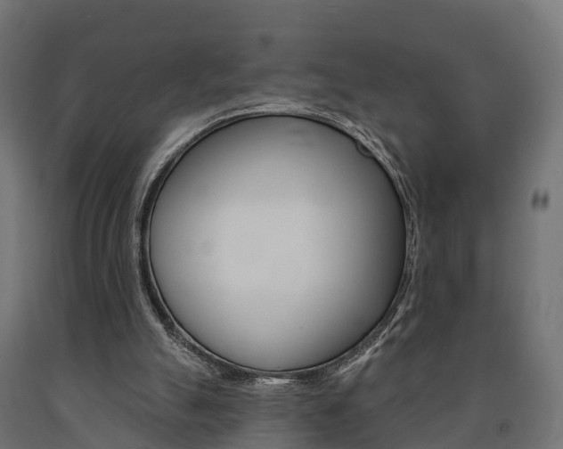 X0000091000055200708021233