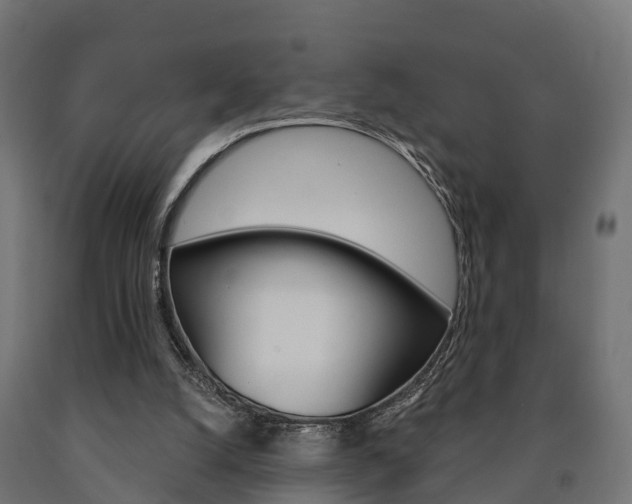 X0000091000056200708021233