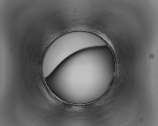 X0000091000057200708021233