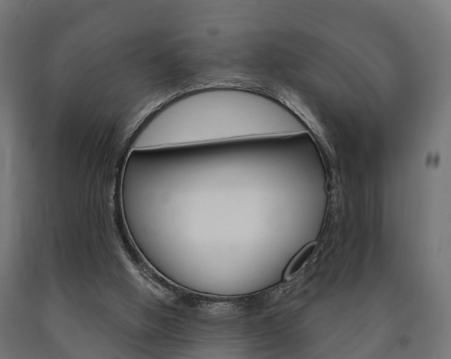 X0000091000058200708021233