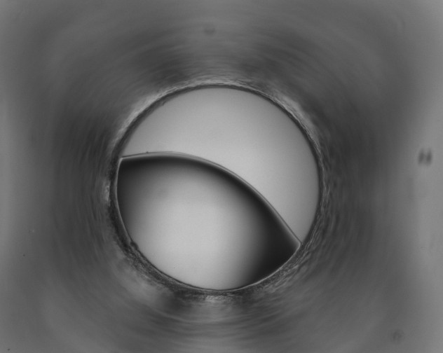 X0000091000060200708021233