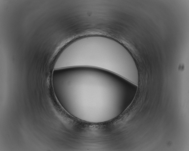 X0000091000064200708021234