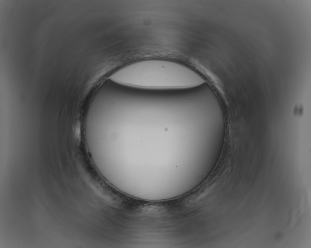 X0000091000067200708021234