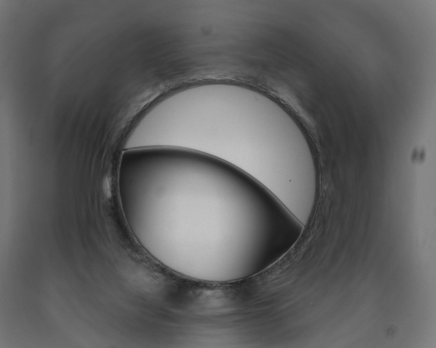 X0000091000068200708021234