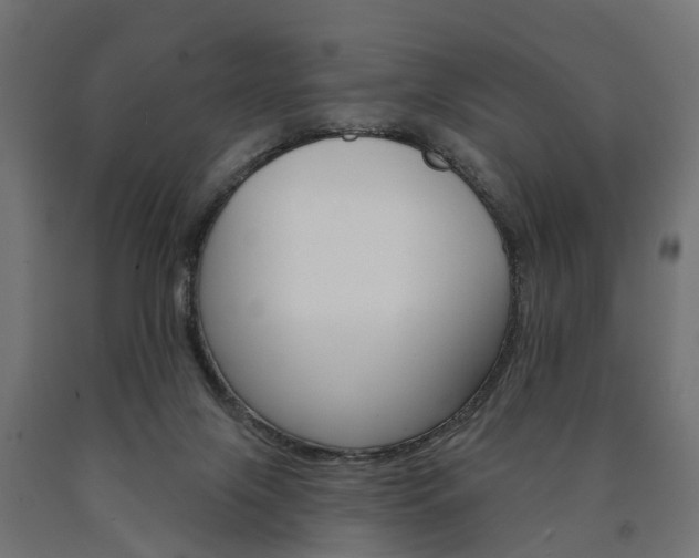 X0000091000071200708021234