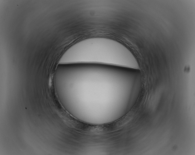 X0000091000075200708021234
